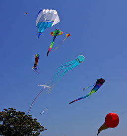 Kites
